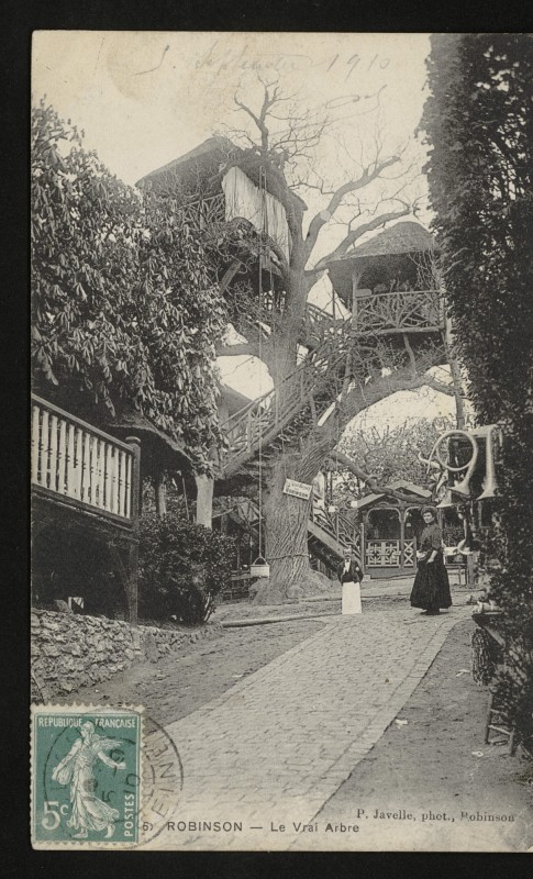 Carte postale ancienne Robinson - Le Vrai Arbre au Plessis-Robinson