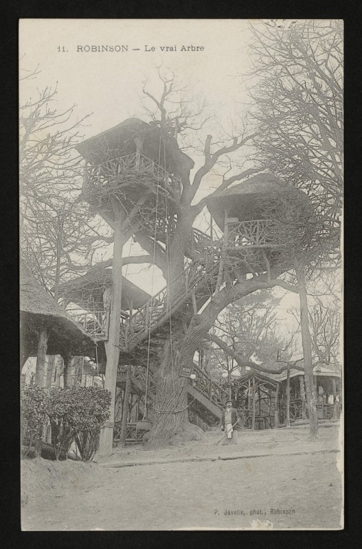 Carte postale ancienne Robinson - Le Vrai Arbre au Plessis-Robinson