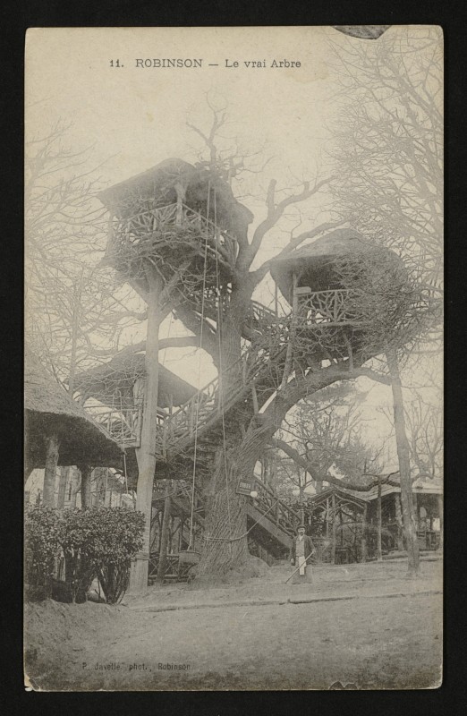 Carte postale ancienne Robinson - Le Vrai Arbre au Plessis-Robinson