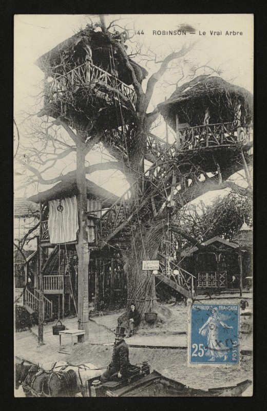 Carte postale ancienne Robinson - Le Vrai Arbre au Plessis-Robinson