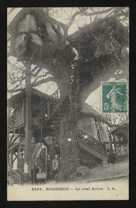 Carte postale ancienne Robinson - Le Vrai Arbre au Plessis-Robinson