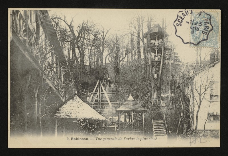 Carte postale ancienne Robinson - Vue générale de l'arbre le plus élevé au Plessis-Robinson