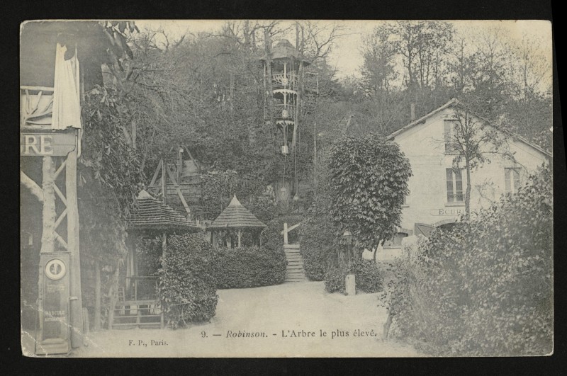 Carte postale ancienne Robinson - L'Arbre le plus élevé au Plessis-Robinson