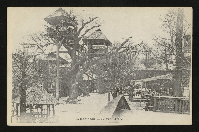 Carte postale ancienne Robinson - Le Vrai Arbre au Plessis-Robinson