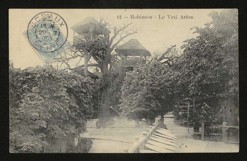 Carte postale ancienne Robinson - Le Vrai Arbre au Plessis-Robinson