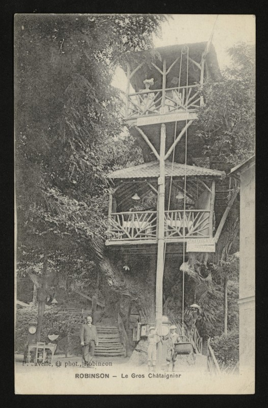 Carte postale ancienne Le Plessis-Robinson Le Gros Chataignier au Plessis-Robinson