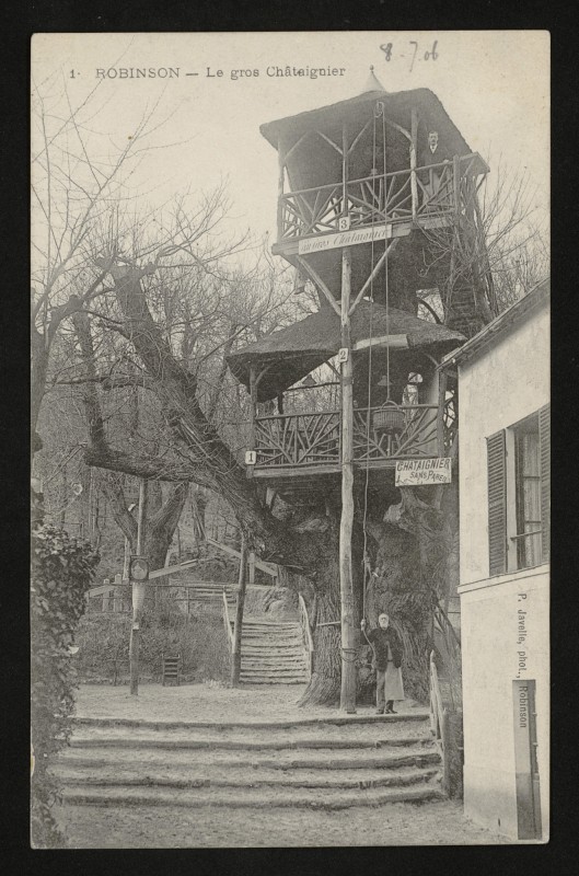 Carte postale ancienne Robinson - Le Gros Châtaignier au Plessis-Robinson