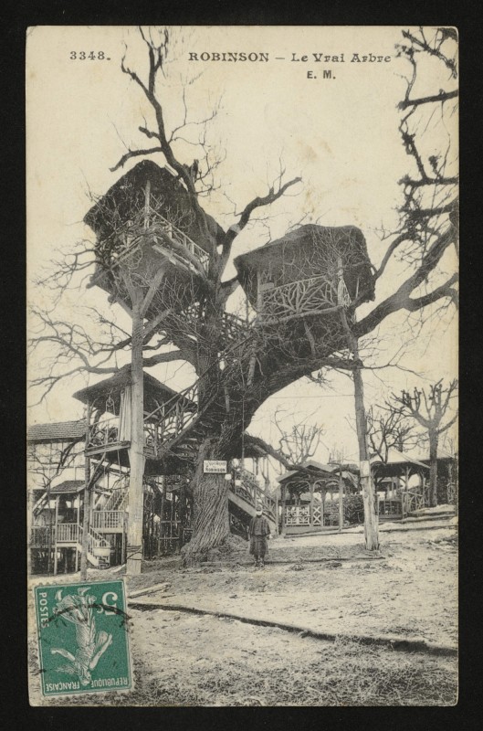 Carte postale ancienne Robinson - Le Vrai arbre au Plessis-Robinson