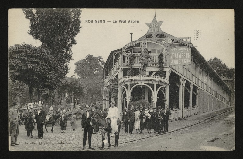 Carte postale ancienne Robinson - Le Vrai Arbre au Plessis-Robinson