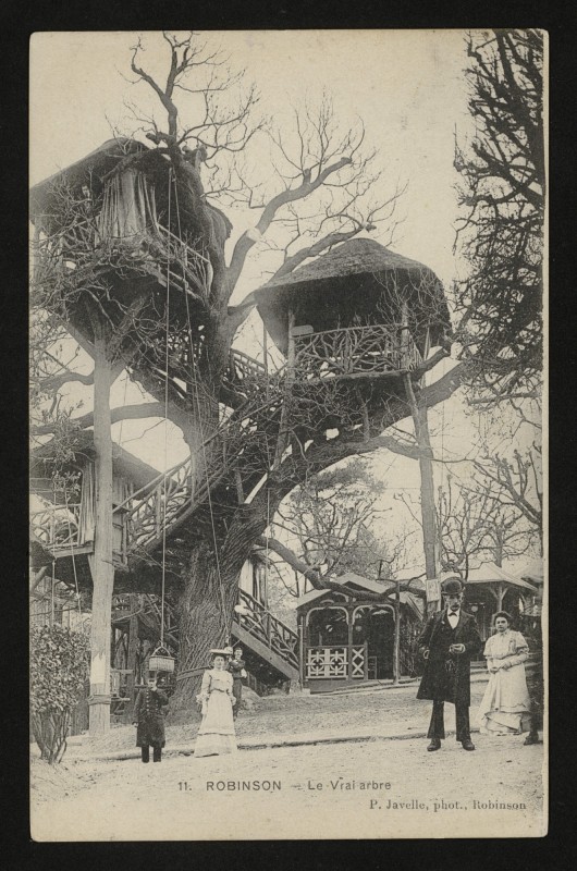 Carte postale ancienne Robinson - Le Vrai arbre au Plessis-Robinson