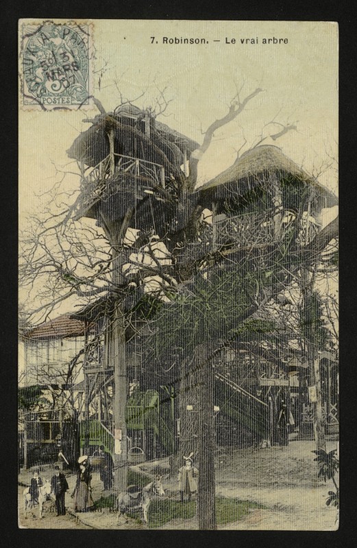 Carte postale ancienne Robinson - Le Vrai arbre au Plessis-Robinson