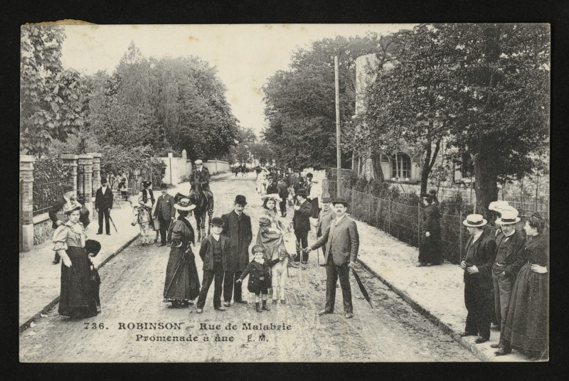 Carte postale ancienne Robinson - Rue de Malabrie - Promenade à Ane au Plessis-Robinson