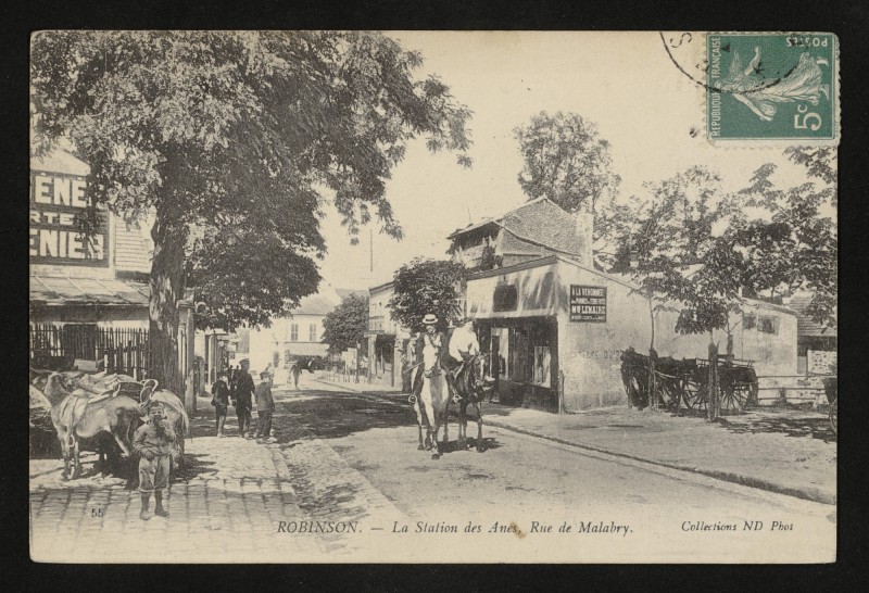 Carte postale ancienne Robinson - La Station des Anes rue de Malabry au Plessis-Robinson