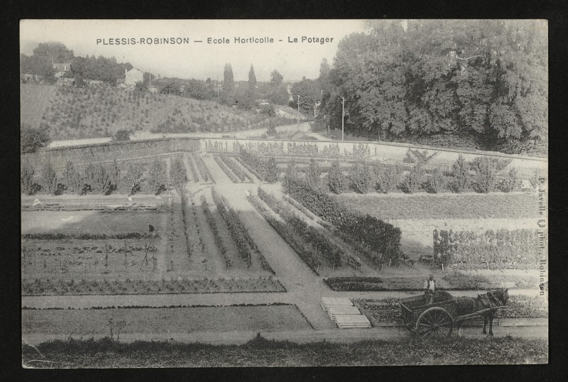 Carte postale ancienne Ecole Horticole - Le Potager au Plessis-Robinson