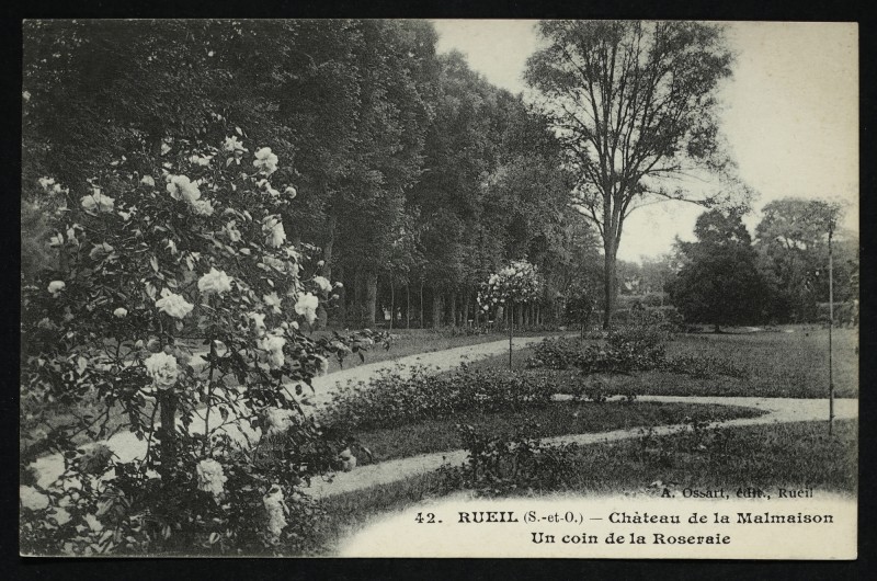 Carte postale ancienne Château de la Malmaison - Un coin de la Roseraie à Rueil-Malmaison