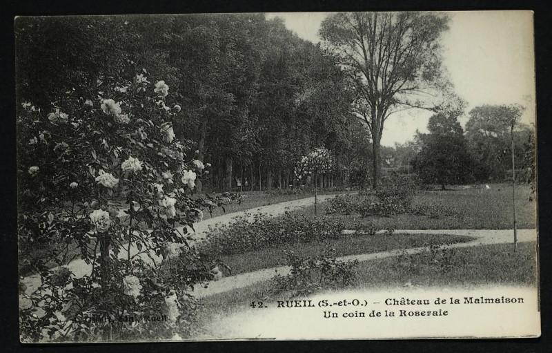 Carte postale ancienne Château de la Malmaison - Un coin de la Roseraie à Rueil-Malmaison