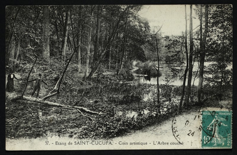 Carte postale ancienne Etang de Saint-Cucufa - Coin artistique - L'arbre couché à Rueil-Malmaison