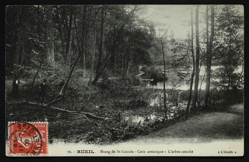 Carte postale ancienne Etang de Saint-Cucufa - Coin artistique - L'arbre couché à Rueil-Malmaison