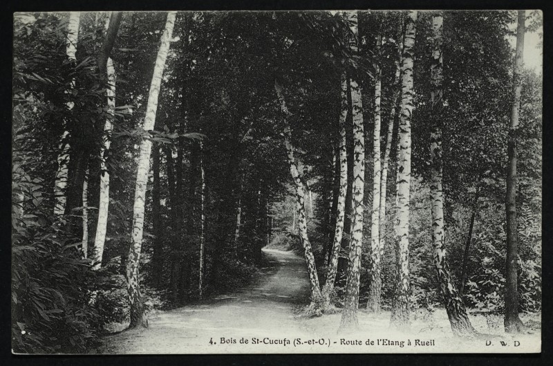 Carte postale ancienne Bois de St-Cucufa (S.-et-O.) - Route de l'Etang à Rueil à Rueil-Malmaison