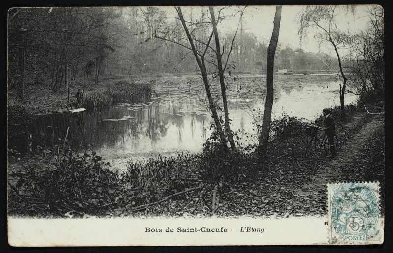 Carte postale ancienne Bois de Saint-Cucufa - L'Etang à Rueil-Malmaison