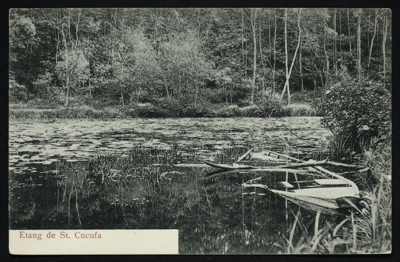Carte postale ancienne Etang de St-Cucufa à Rueil-Malmaison
