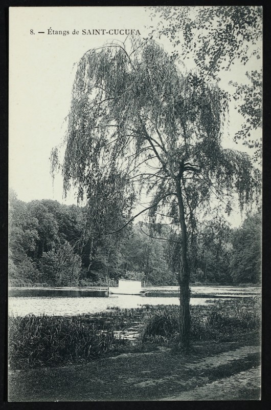 Carte postale ancienne Etangs de Saint-Cucufa à Rueil-Malmaison