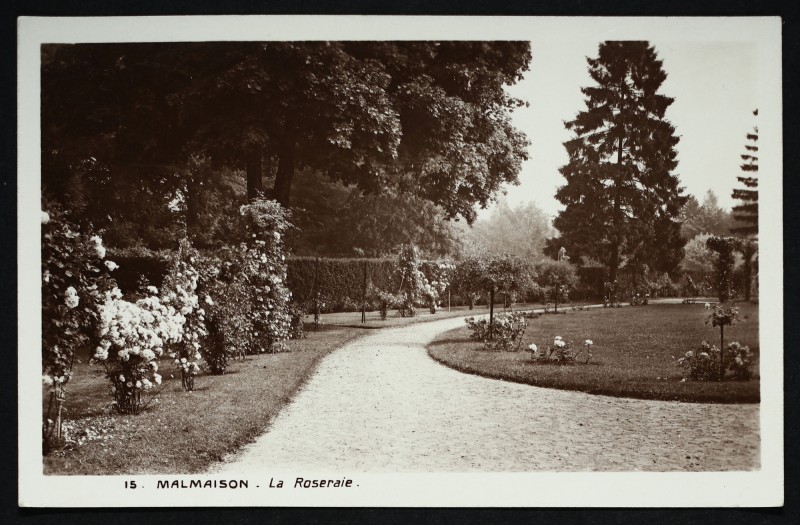 Carte postale ancienne Malmaison - La Roseraie à Rueil-Malmaison