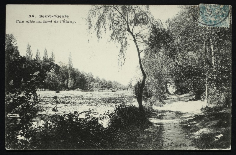 Carte postale ancienne Saint-Cucufa - Une allée au bord de l'Etang à Rueil-Malmaison