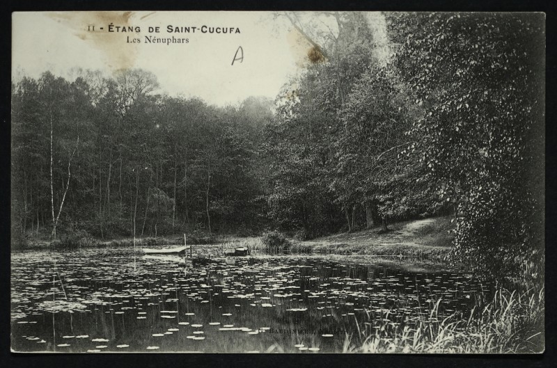 Carte postale ancienne Etang de Saint-Cucufa - Les Nénuphars à Rueil-Malmaison