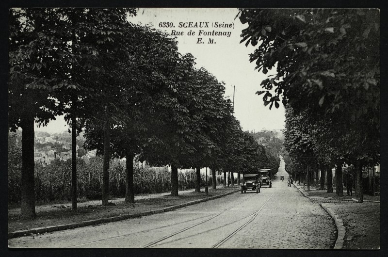 Carte postale ancienne Rue de Fontenay à Sceaux