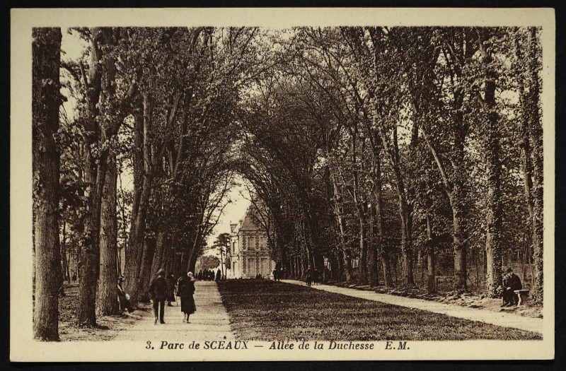 Carte postale ancienne Parc de Sceaux - L'Allée de la Duchesse à Sceaux
