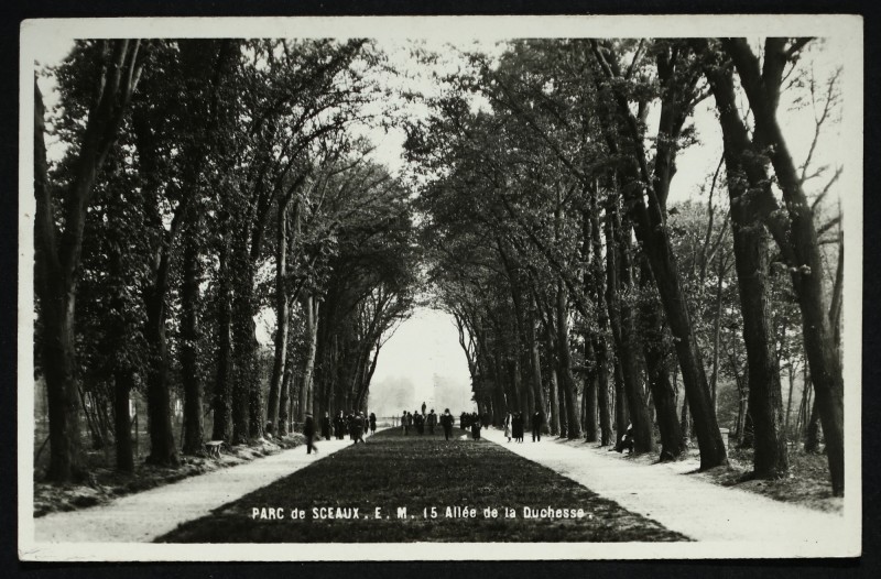 Carte postale ancienne Parc de Sceaux - L'Allée de la Duchesse à Sceaux