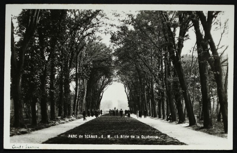 Carte postale ancienne Parc de Sceaux - Allée de la Duchesse à Sceaux
