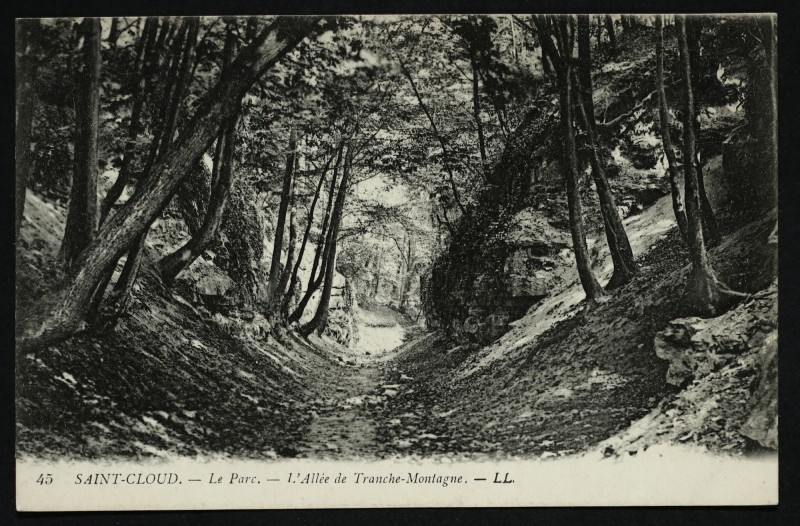 Carte postale ancienne L'Allée de Tranche-Montagne à Saint-Cloud