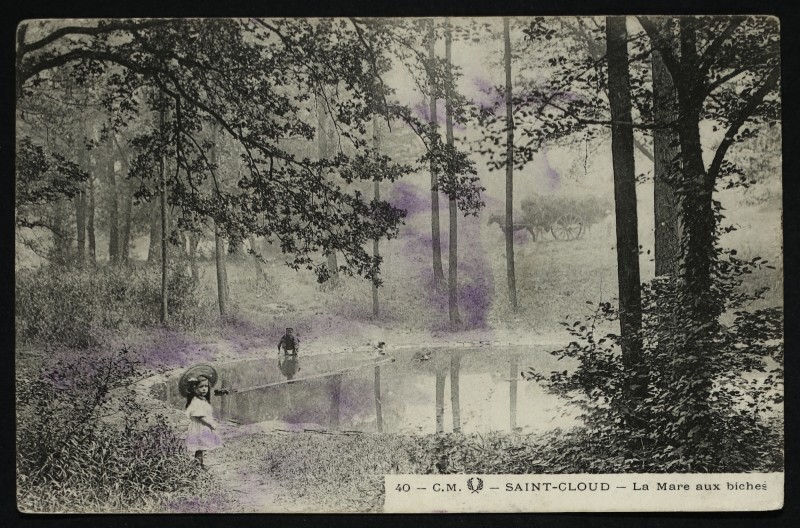 Carte postale ancienne La Mare aux Biches à Saint-Cloud