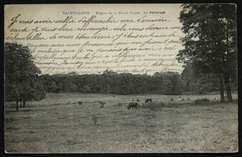 Carte postale ancienne Haras de la Porte Jaune. Le Pâturage à Saint-Cloud