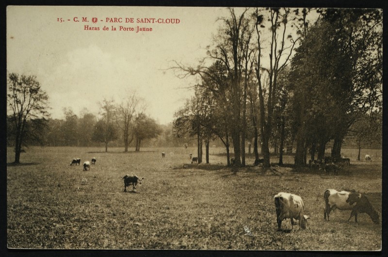 Carte postale ancienne Haras de la Porte Jaune à Saint-Cloud