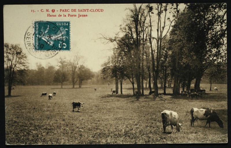 Carte postale ancienne Haras de la Porte Jaune à Saint-Cloud