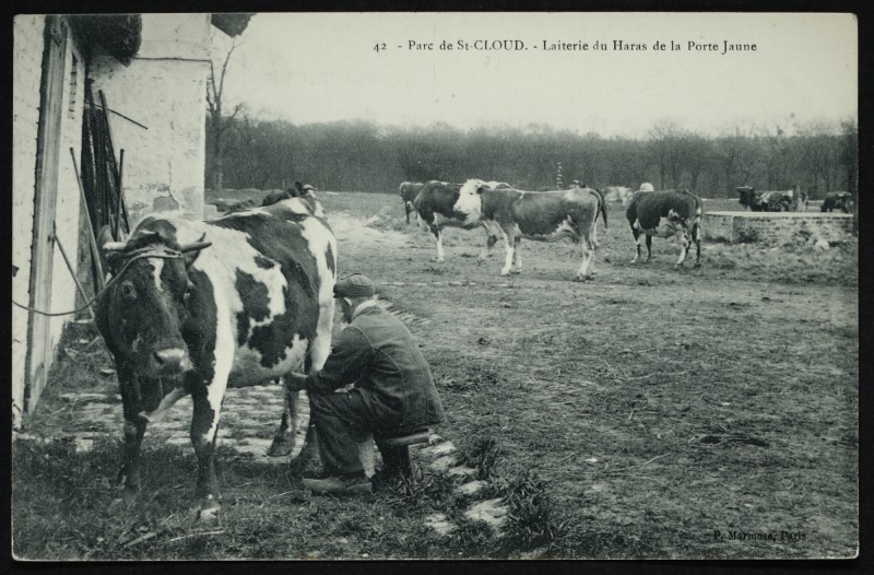 Carte postale ancienne Laiterie du Haras de la Porte Jaune à Saint-Cloud