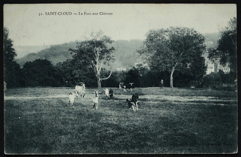 Carte postale ancienne Le Parc aux Chèvres à Saint-Cloud