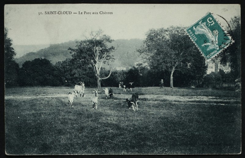 Carte postale ancienne Le Parc aux Chèvres à Saint-Cloud