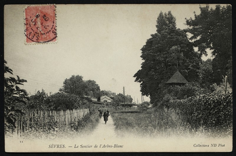 Carte postale ancienne Le Sentier de L'Arbre-Blanc à Sèvres