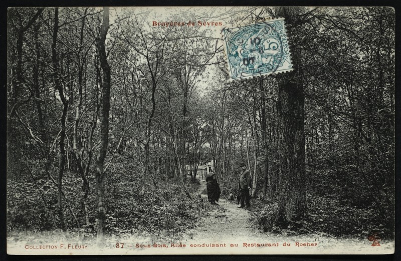 Carte postale ancienne Bruyères-de-Sèvres - Sous Bois conduisant au restaurant du Rocher à Sèvres