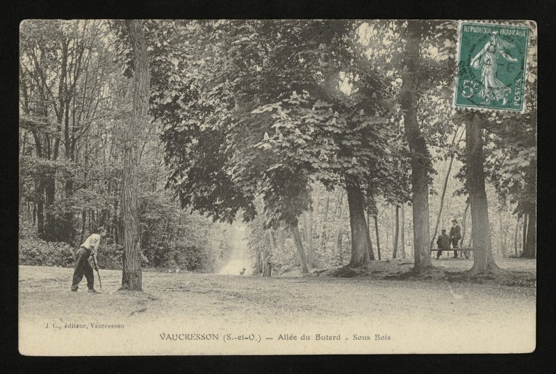 Carte postale ancienne Allée du Butard - Sous Bois à Vaucresson