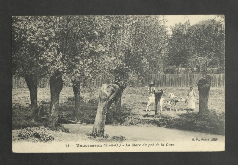 Carte postale ancienne La Mare du pré de la Cure à La Celle-Saint-Cloud