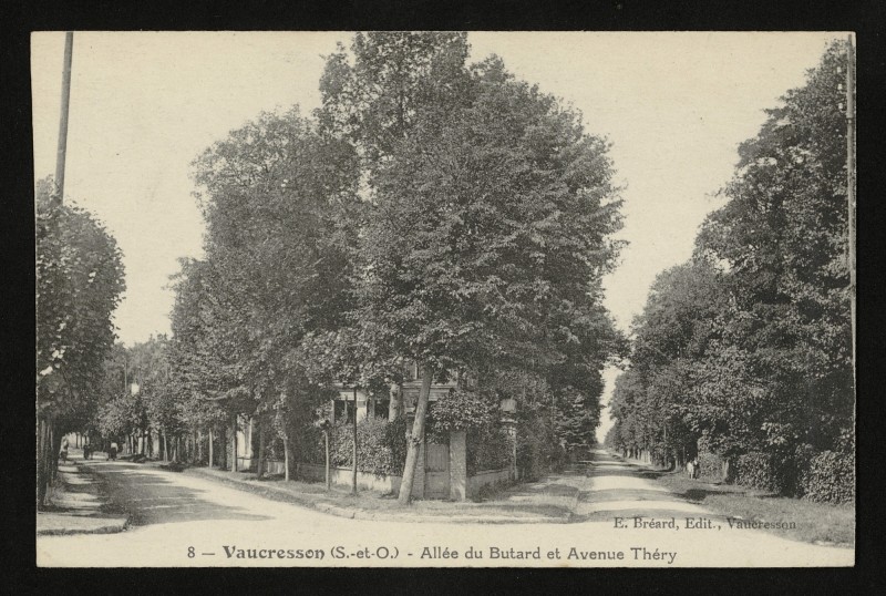 Carte postale ancienne Allée du Butard et Avenue Théry à Vaucresson