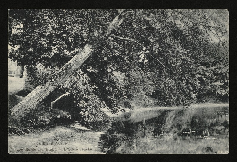 Carte postale ancienne Les Bords de l'Etang - l'Arbre penché à Ville-d'Avray