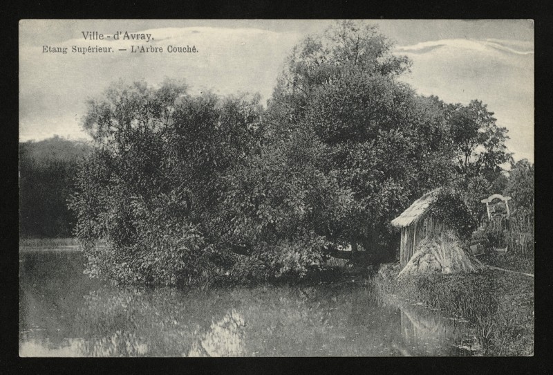 Carte postale ancienne Etang Supérieur. - L'Arbre Couché à Ville-d'Avray