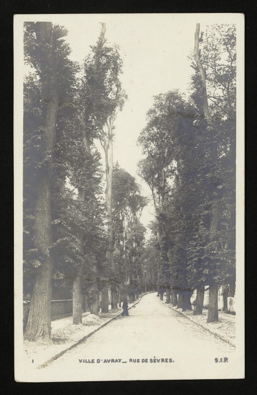 Carte postale ancienne Rue de Sèvres à Ville-d'Avray