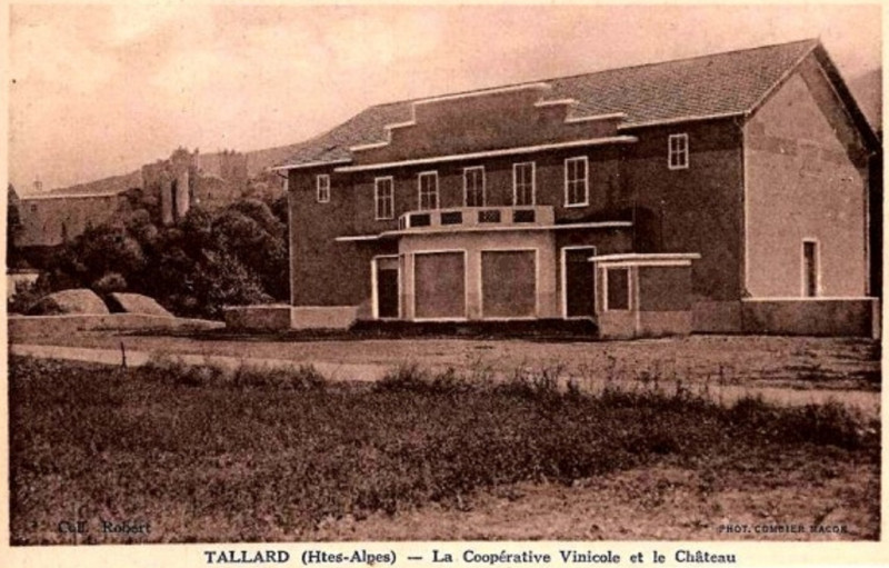 Carte postale ancienne Cave coopérative vinicole de Tallard